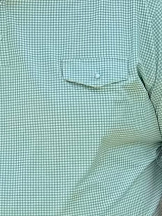 BCR Green Gingham Pearl Snap Polo