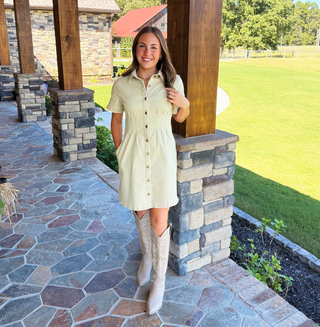 She and Sky Button Down Dress