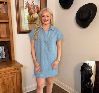 She & Sky Soft Chambray Bow Shirt Dress