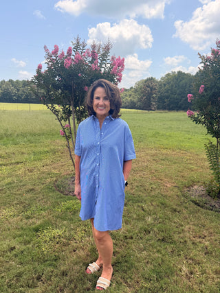 Blue Stripped Shirt Dress with Sparkles