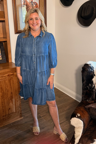She & Sky Everyday Tiered Denim Shirt Dress