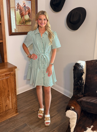 Everly Green Striped Shirt Dress
