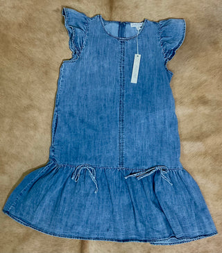 Bluebonnet Ruffle Dress
