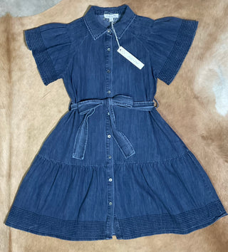 She & Sky Flirty Denim Dress