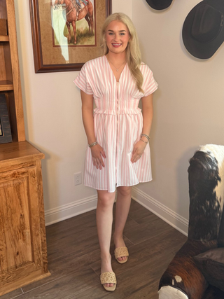 She & Sky Pink Striped Dress