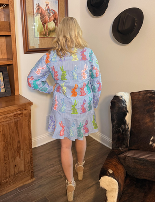 Queen of Sparkles Blue and White Striped Bunny Dress