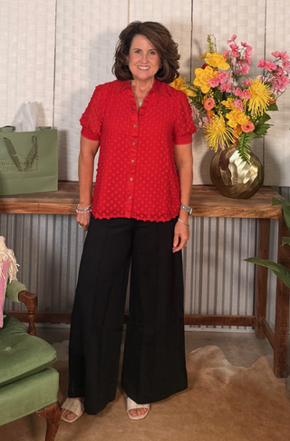 High Rise Flare Let Ponte Pants
