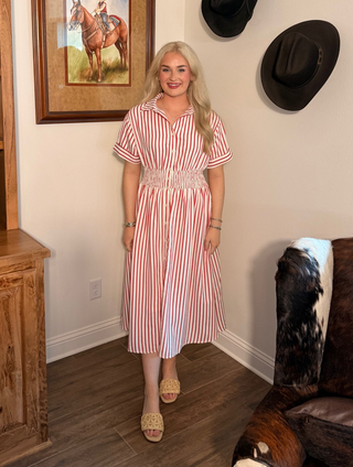 She & Sky Harbor Stripe Midi Dress