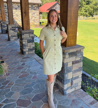 She and Sky Button Down Dress