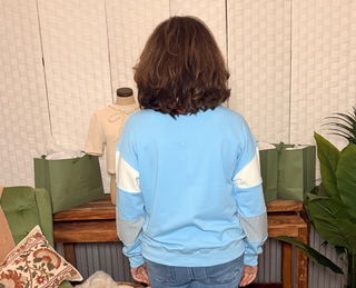 She & Sky Color Block Sleeve V Neck French Terry Shirt