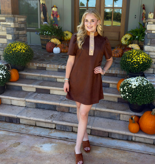 THML Three Toned Brown Suede Dress