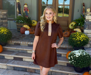 THML Three Toned Brown Suede Dress